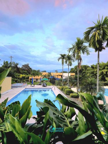 Apartamento Privado Vacacional a 5m del Aeropuerto, 20 minutos del Parque del Cafe y Centro de Armenia con 4 Piscinas, 3 Jacuzzi, Sauna By Molca Xperiences 2H