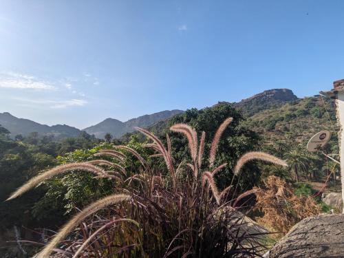 Cave Canvas, Mount Abu