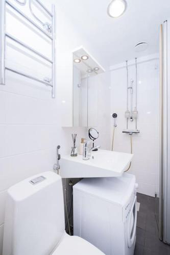 Elegant Studio in Downtown - Free Wi-Fi, Helsinki (foto 9)