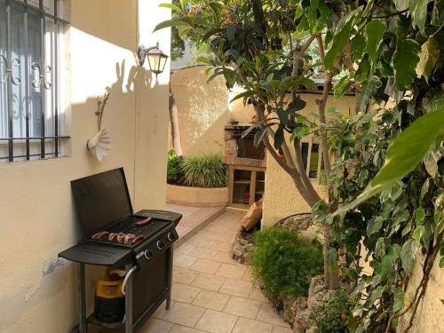Petit coin de paradis au cœur de Marseille, Marseille (Foto 10)