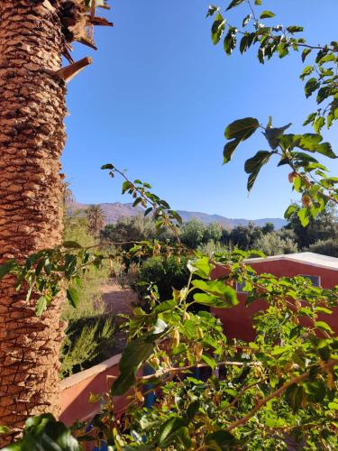 Le Retour au calme Maison d'hôtes Le Retour au calme Maison d'hôtes