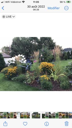 Oasis de la rivière