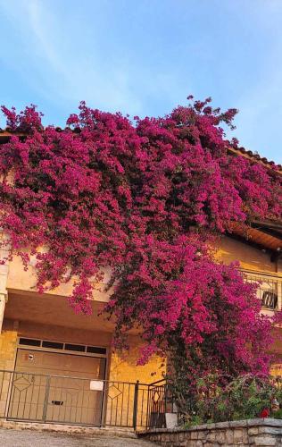 AGAPI Holiday House 5