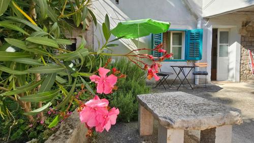 Apartment with Terrace room in Eufrasiana Apartments