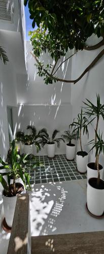 Villa Hafa Villa Hafa