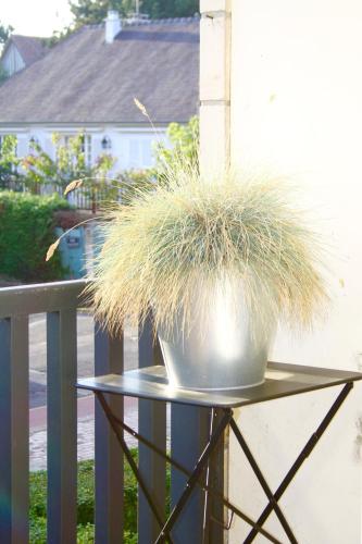 克洛斯德萨比耶公寓  克洛斯德萨比耶公寓