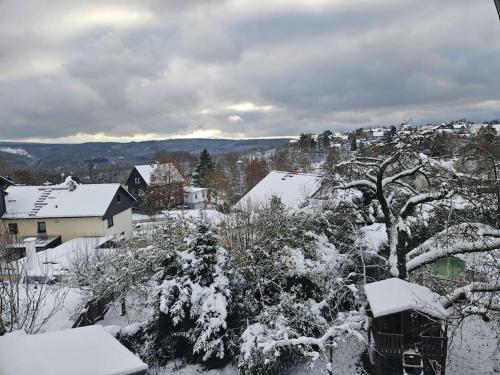 สภาพแวดล้อมโดยรอบ, Apartment im schönen Taunus (Apartment im schonen Taunus) in บัด ชวาลบัค