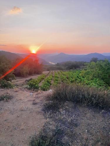 Le Bas du Rocher gîte à louer Domaine de Laurençou