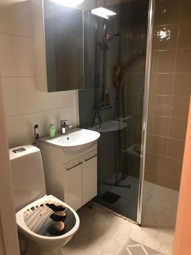 Coastal apartment in Uniluoto