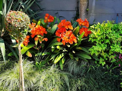 Eversview Guesthouse