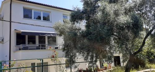 Apartment Premantura 5