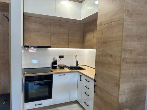 Apartment MAFILTA in Veternicka Rampa