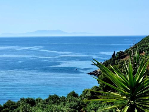 Enjoy Lichnos Bay Village Camping Hotel and Apartments - image 3