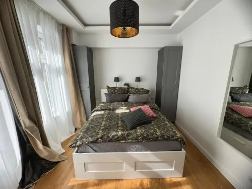 Boutique Hotel Pension Luisengrün Küche 1Gbs WLAN Netflix Disney MagentaTV in Chemnitz, Deutschland