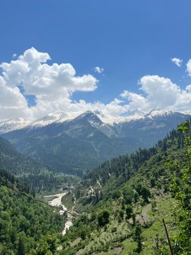 Yellowjackets Hostel Yellowjackets Hostel