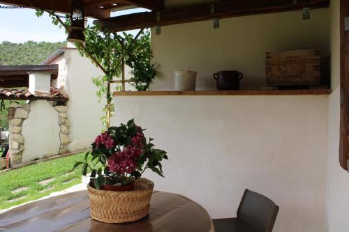 Dārzs, A Casa dei Nonni in Poggio Picenze