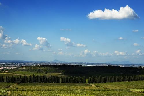  Merumalia Wine Resort, Frascati bei San Cesareo