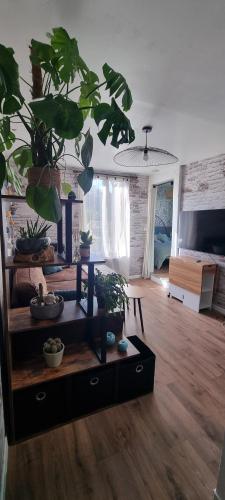 Le studio de Simon Le studio de Simon