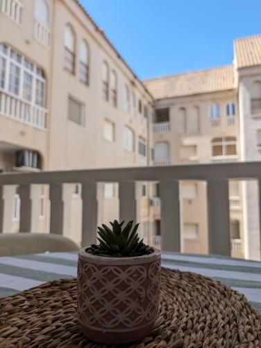 Torreviejaplace in 特拉維哈