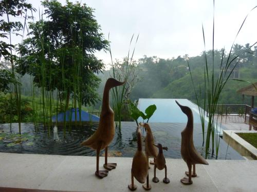 アモリ ビラ ホテル16