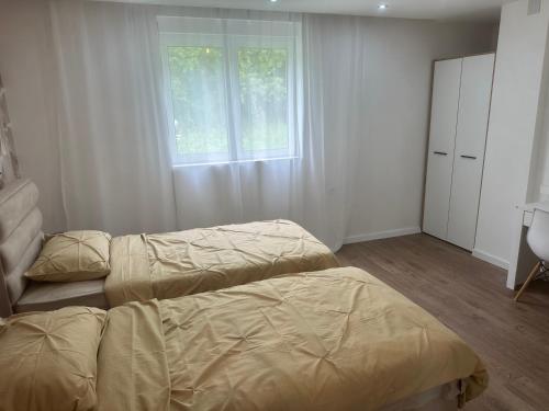 Villa Albatros - image 9