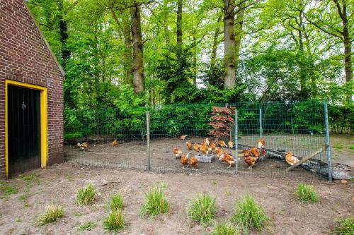 Bosrust Bungalow in Taalstraat en omgeving