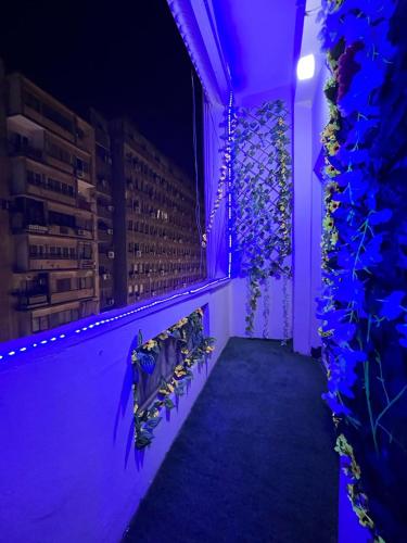 Downtown view studios