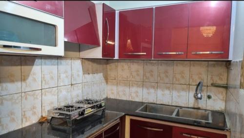 Furnished One Bedroom appartment with kitchen - image 3