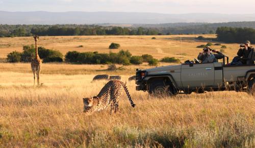 Lalibela Game Reserve Mark's Camp