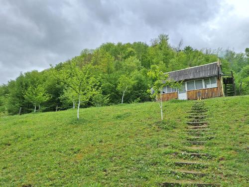 Viesnīcas āriene, Country house Tara Orasac in Durdevica Tara