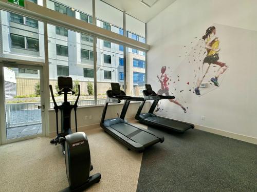 Metrotown Brand new one bedroom Condo in Burnaby (BC)