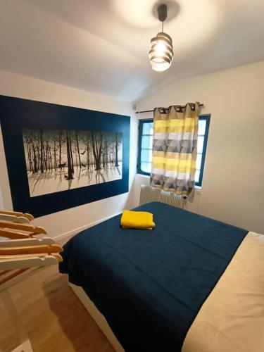 Appartement studio COSY