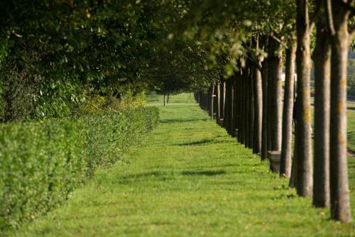 Pavillon Henri IV - main image