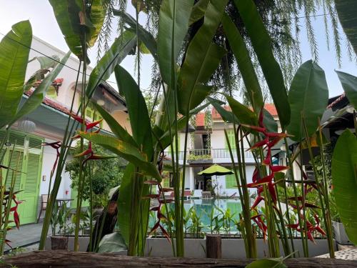 Hoi An Garden Villas, Hoi An (foto 3)