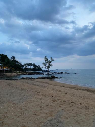 Green Tree Cottage 2