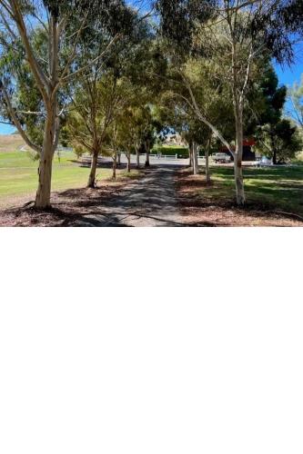Daisy Hill Lodge in Bonnie Doon