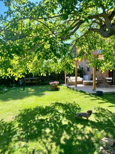 Casale dell'Assiolo Bed and Breakfast - I Giorgi