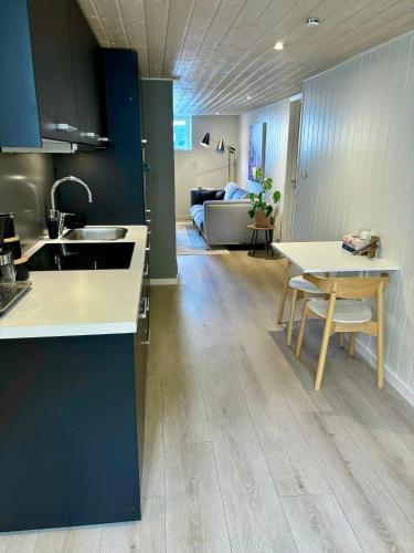 Down town apartment with outside area in villa in Kristiansand