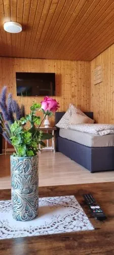 City Apartment Triberg in Triberg im Schwarzwald, Deutschland