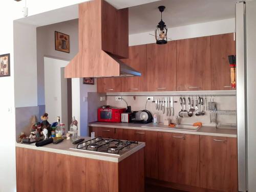 virtuve, Sokol i Kalina spa in Momin Prohod