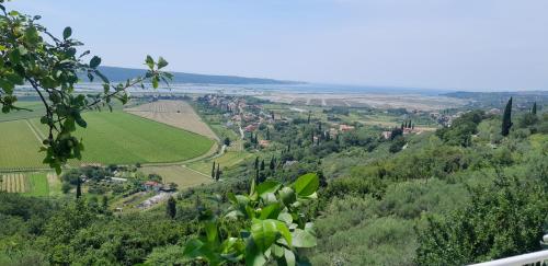 Apartments Milok Apartments Milok