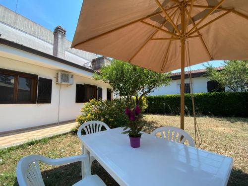 Garden, A Casa di Alfredo Depandance in villa in Other