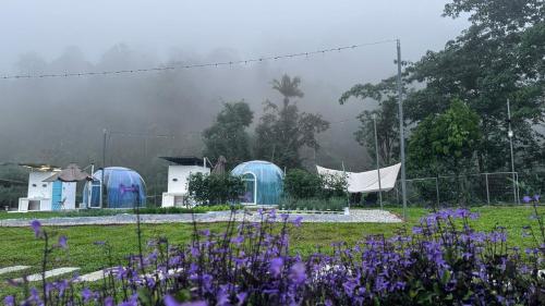 The Starry Dome Family Room 2A 2K The Starry Dome Family Room 2A 2K