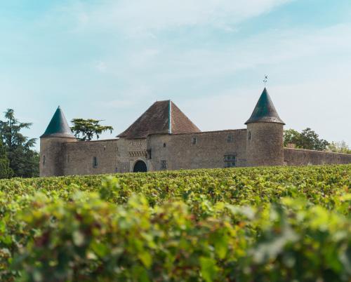 Chateau Eck chambre d'hôte Cadaujac