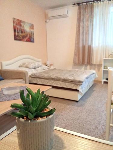 Studio Apartment image 10