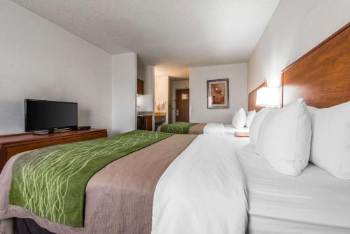 Quality Inn Denver Westminster - image 10