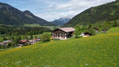 Appartements Grünholz in Itter, Österreich