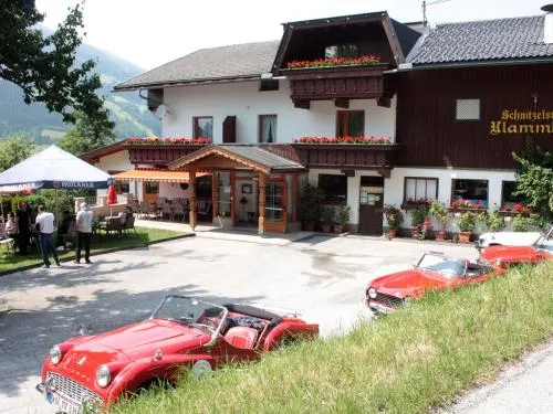 Apartment Klammlhof-2 by Interhome in Zell am Ziller, Österreich