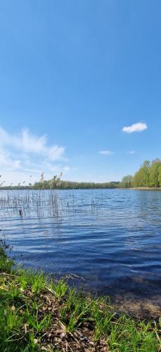 Pirtis su ežero pakrante Trakai (Pirtis su ezero pakrante Trakai) in Trakai