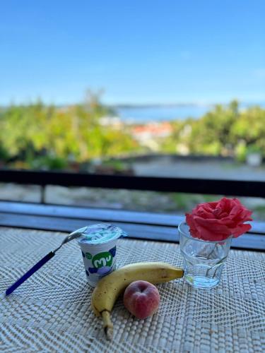 Milena Apartment in Lucija